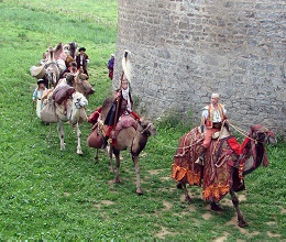 Une caravane de chameaux et dromadaires - La Caravane de Samarkand